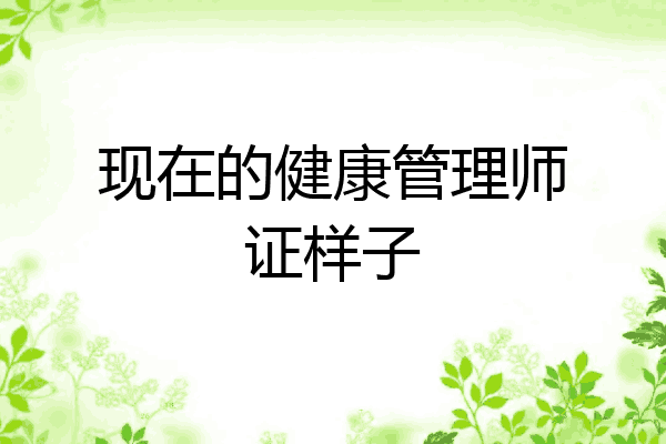 现在的健康管理师证样子