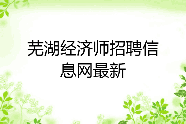 芜湖经济师招聘信息网最新