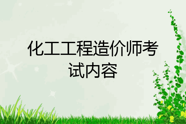 化工工程造价师考试内容