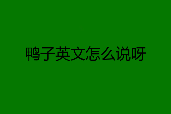 鸭子英文怎么说呀