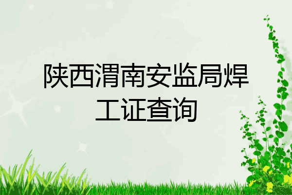 陕西渭南安监局焊工证查询