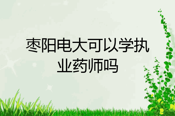 枣阳电大可以学执业药师吗