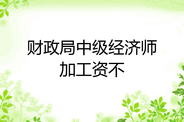 财政局中级经济师加工资不