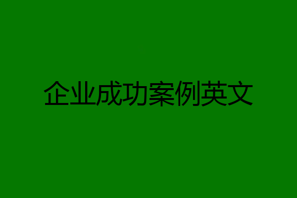 企业成功案例英文