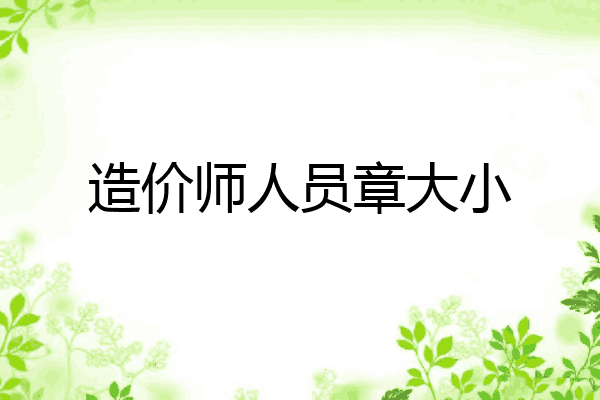 造价师人员章大小