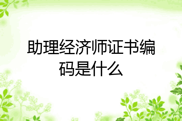 助理经济师证书编码是什么