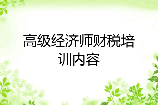 高级经济师财税培训内容
