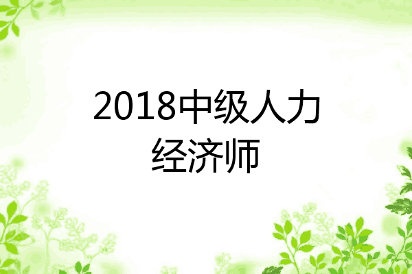 2018中级人力经济师