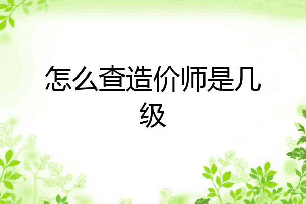 怎么查造价师是几级
