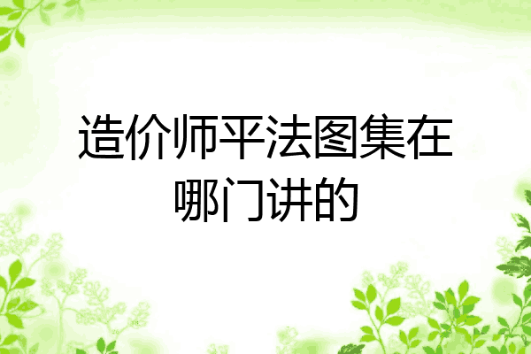 造价师平法图集在哪门讲的