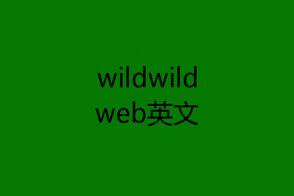 wildwildweb英文
