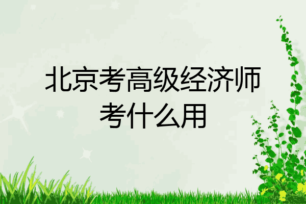 北京考高级经济师考什么用