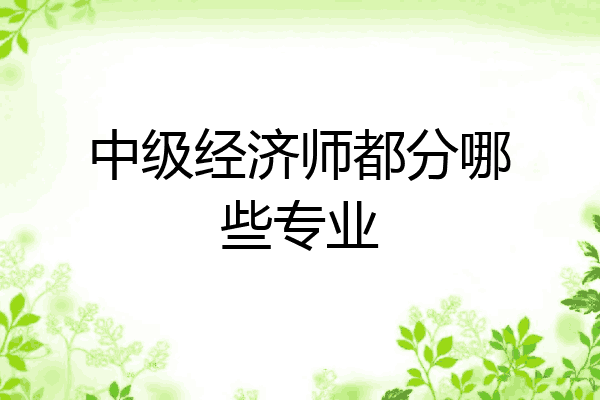 中级经济师都分哪些专业
