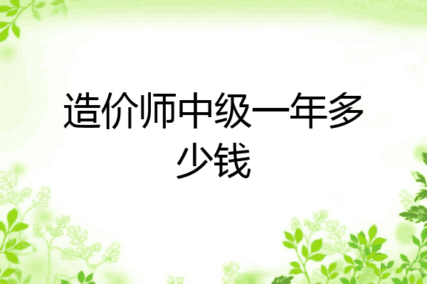 造价师中级一年多少钱