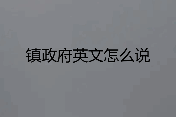 镇政府英文怎么说