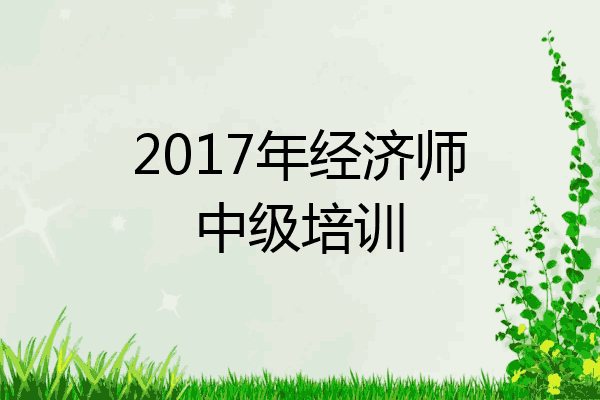 2017年经济师中级培训