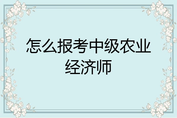 怎么报考中级农业经济师