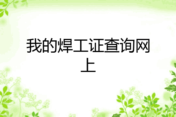 我的焊工证查询网上