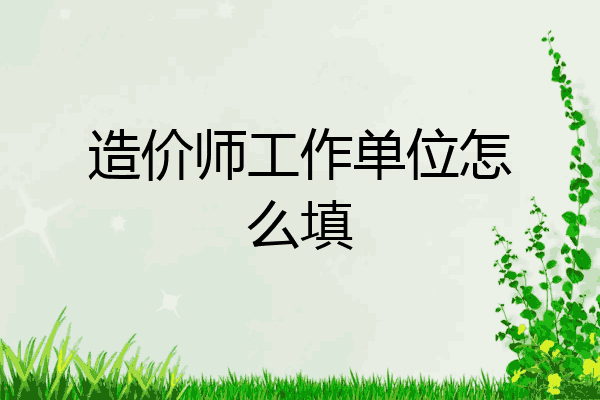 造价师工作单位怎么填