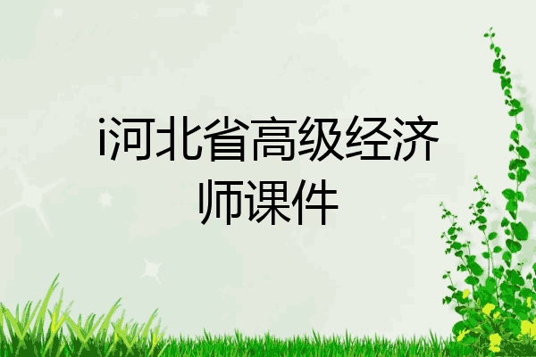 i河北省高级经济师课件