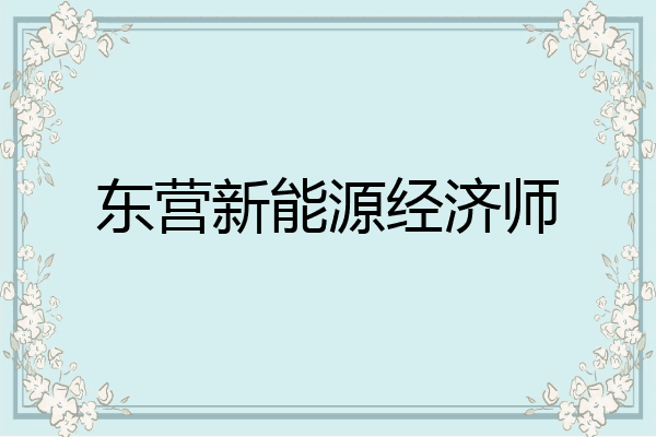 东营新能源经济师
