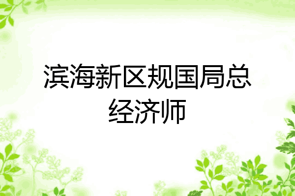滨海新区规国局总经济师