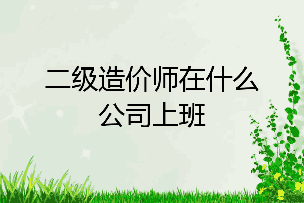 二级造价师在什么公司上班