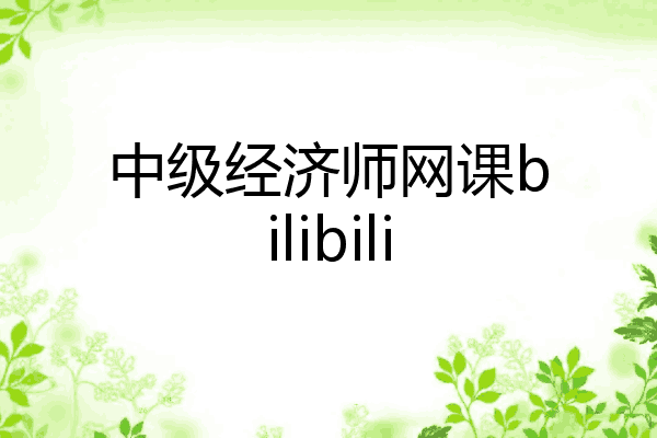 中级经济师网课bilibili