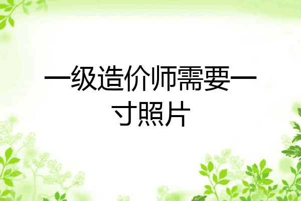 一级造价师需要一寸照片