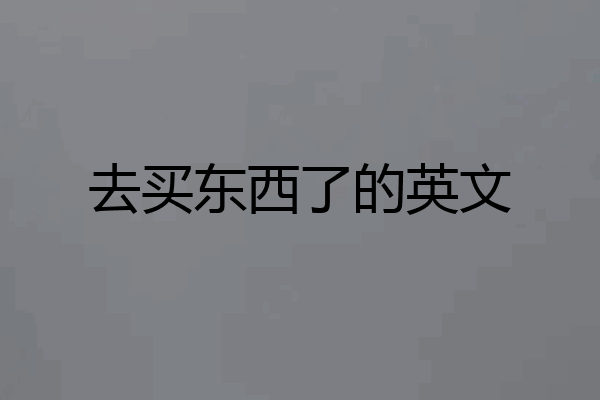 去买东西了的英文