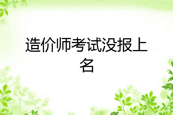 造价师考试没报上名