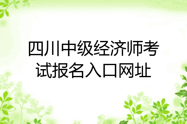 四川中级经济师考试报名入口网址