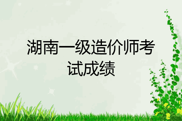 湖南一级造价师考试成绩