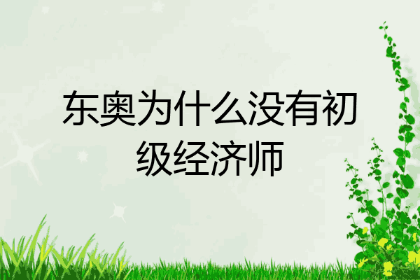 东奥为什么没有初级经济师