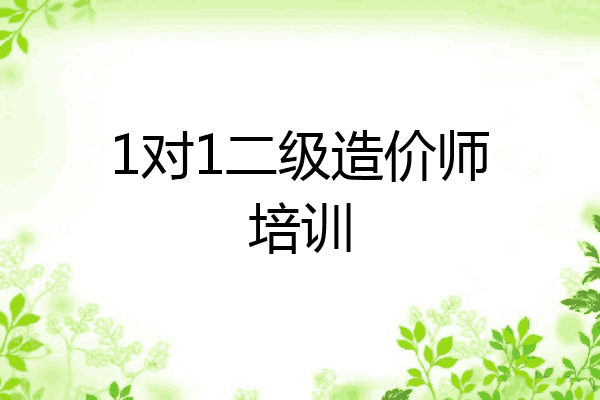 1对1二级造价师培训