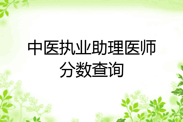 中医执业助理医师分数查询