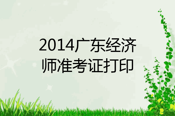 2014广东经济师准考证打印