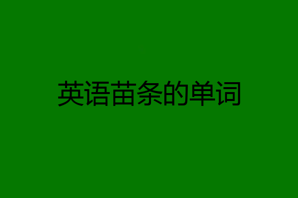 英语苗条的单词
