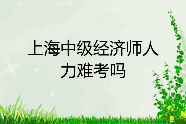 上海中级经济师人力难考吗
