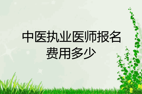 中医执业医师报名费用多少