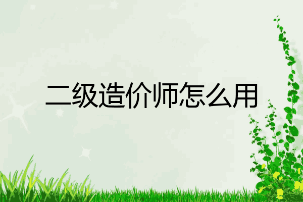 二级造价师怎么用