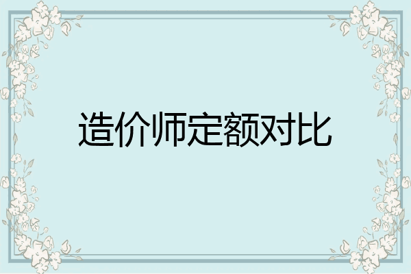 造价师定额对比