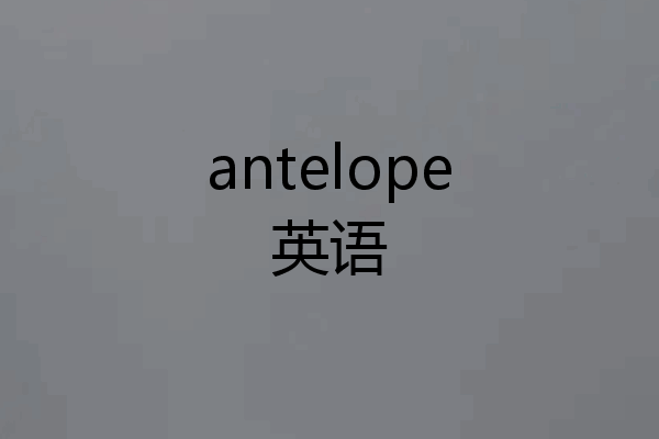 antelope英语