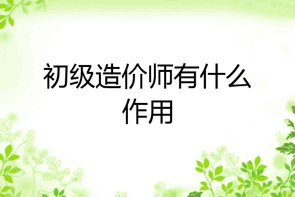 初级造价师有什么作用