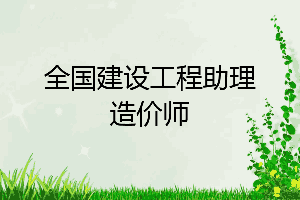 全国建设工程助理造价师