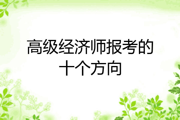 高级经济师报考的十个方向