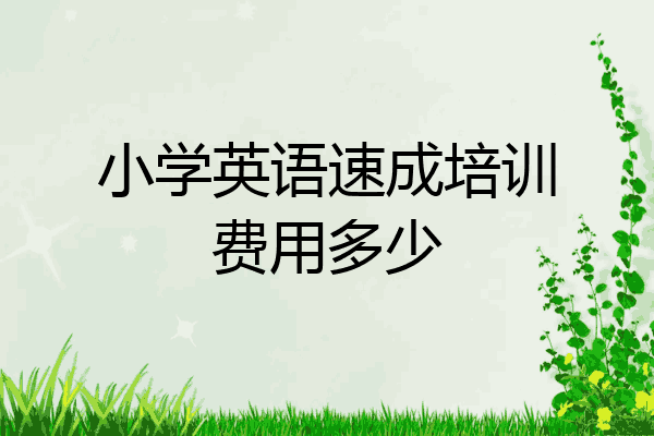 小学英语速成培训费用多少