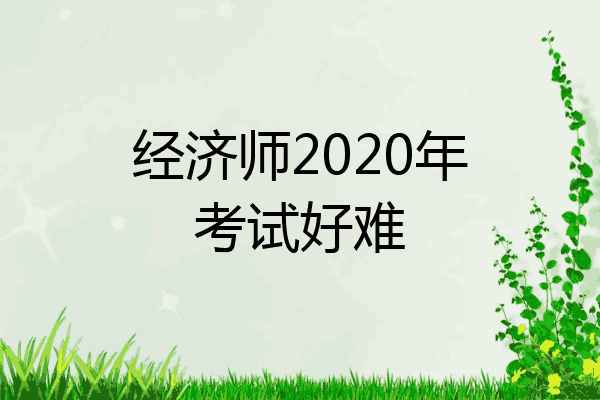 经济师2020年考试好难