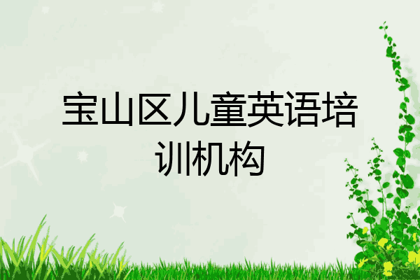 宝山区儿童英语培训机构