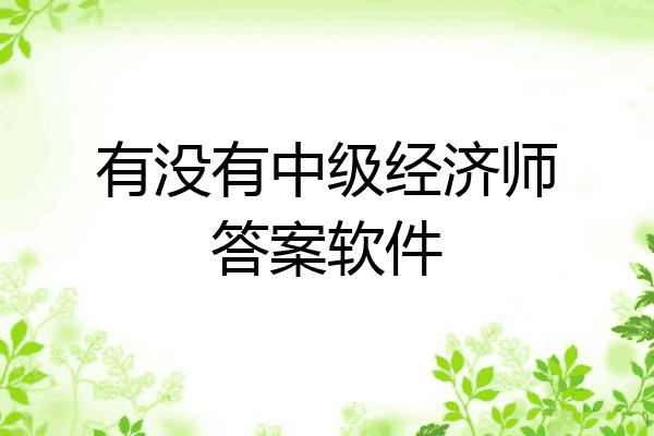 有没有中级经济师答案软件